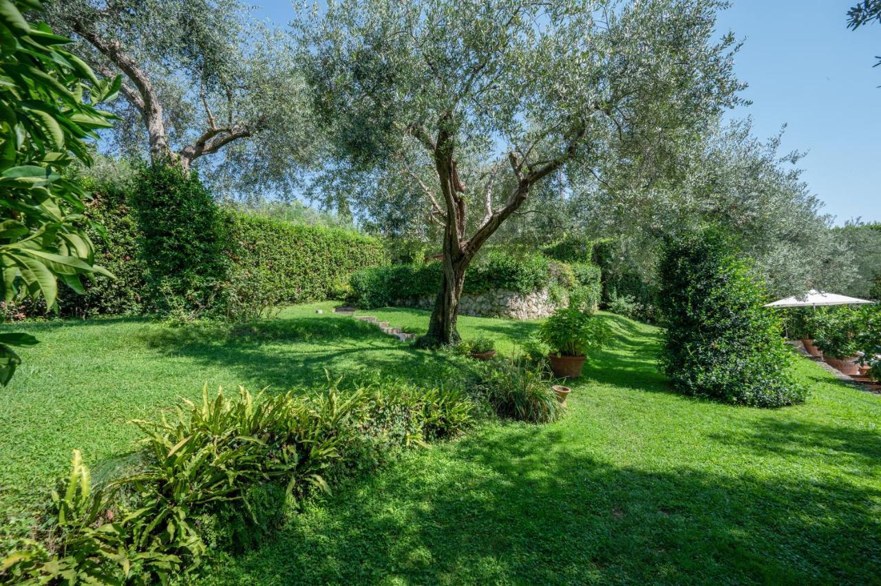 Villa Eden Forte Dei Marmi With Private Infinity Pool Santa Lucia  Eksteriør billede