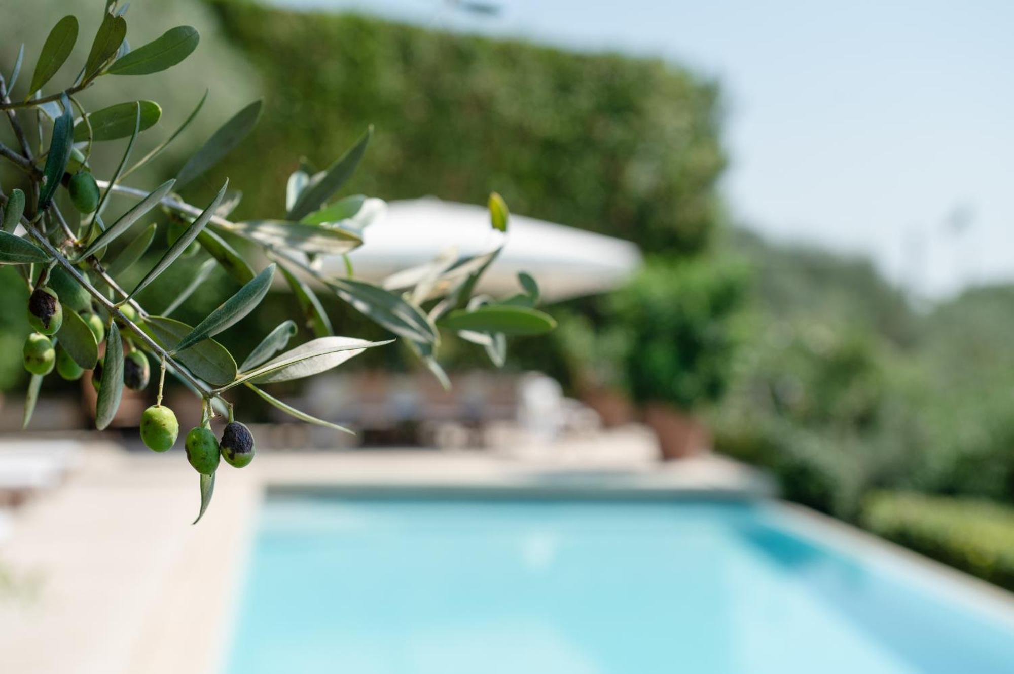 Villa Eden Forte Dei Marmi With Private Infinity Pool Santa Lucia  Eksteriør billede