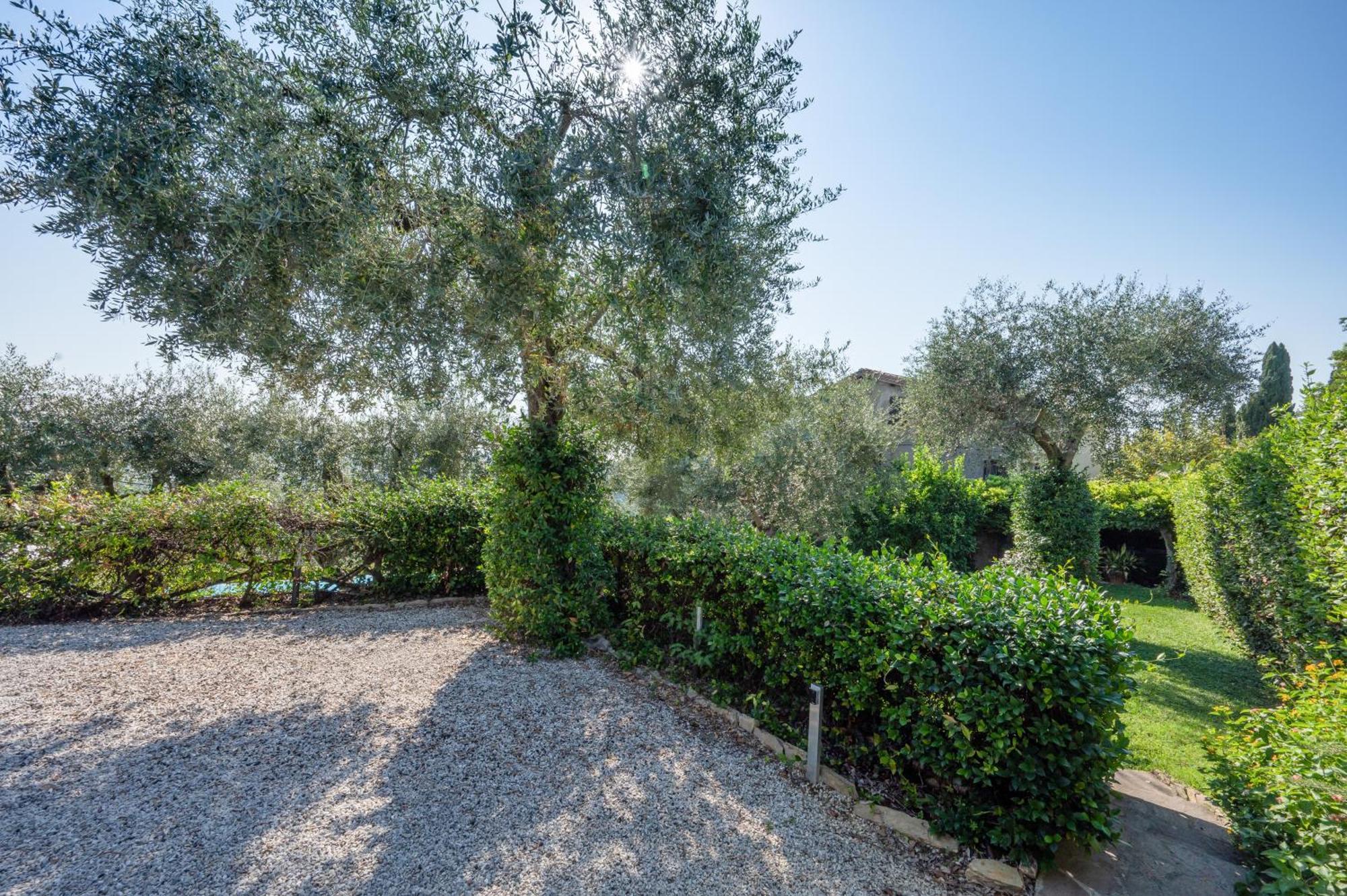 Villa Eden Forte Dei Marmi With Private Infinity Pool Santa Lucia  Eksteriør billede